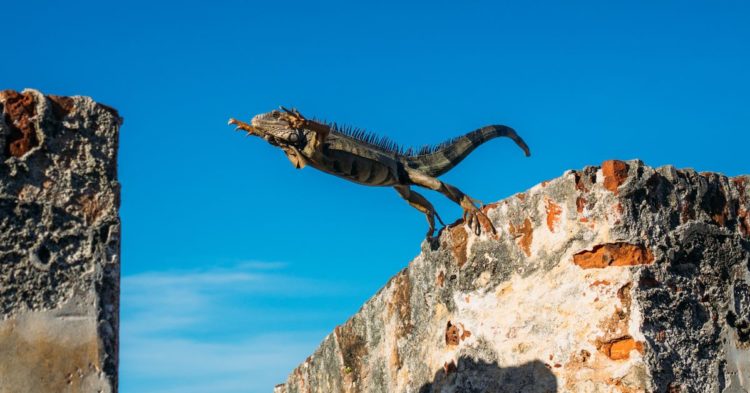 Bitcoin (BTC), Ether (ETH), Bitcoin SV (BSV) Prices Bumped on ETF Hopes