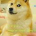 The Dog That Inspired Dogecoin (DOGE) and Shiba Inu (SHIB) Is Getting a Statue in Japan