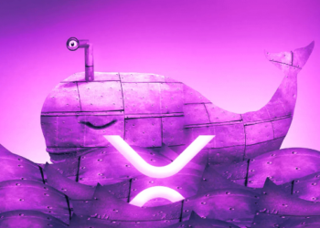 XRP Price Set To Surge Amid Heightened Whale Accumulation