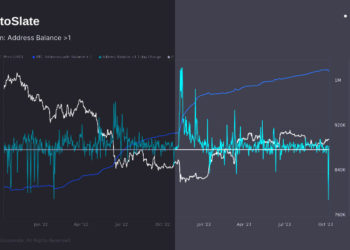 Dramatic slide in Bitcoin ‘small holders’ sparks market intrigue
