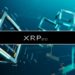 Ripple’s XRP Now Accepted By Gaming Giant Roblox As Crypto Deepens Penetration Of Lucrative Gaming Sector