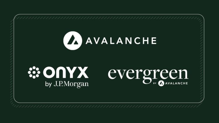 Ethereum Competitor Avalanche (AVAX) Jumps 17% on JPMorgan Partnership