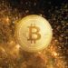 Why This Fidelity Investments Director Believes Bitcoin Is ‘Exponential Gold’
