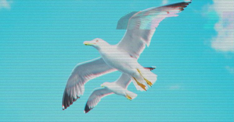 Crypto Traders Are Ready to Move Past Sam Bankman-Fried and FTX