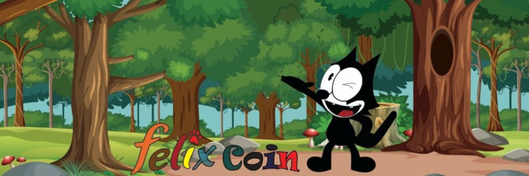 New Cryptocurrency Releases, Listings and Presales Today – Verified USD Foundation USDV (USDV), FelixCoin, EthXY