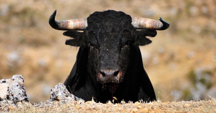 Bitcoin (BTC) Could Regain Record High of $69K in Mid-2024 as Institutional Demand Picks up