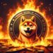 Shiba Inu Burn Rate Flatlines With 99.35% Drop, Here’s Why