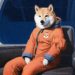 Shiba Inu Price Eyes Key Resistance, Poised For November Surge