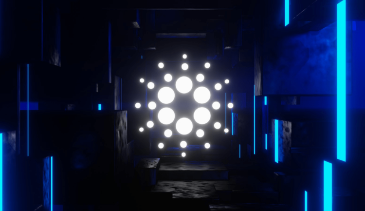 Over 40% Increase in the Cards?