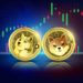 An Explainer And SHIB Price Prediction