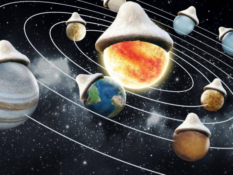 Real Smurf Cat Price Prediction: шайлушай Bounces Back With A 17% Pump, But Traders Are Intrigued By This Brash Meme Coin Upstart