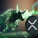 Analyst Places XRP As The Top Coin For The 2024-2025 Bull Run