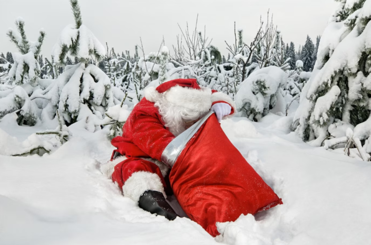 Cardano 50% Rally Sets Stage For A Merry Christmas