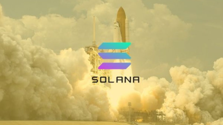 SOL’s 21% Rise Amidst NFT Dominance and Other Meme Coins Surging