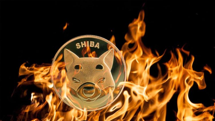 Shiba Inu Community Sparks Fire: Burns 100 Million Tokens