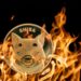 Shiba Inu Community Sparks Fire: Burns 100 Million Tokens