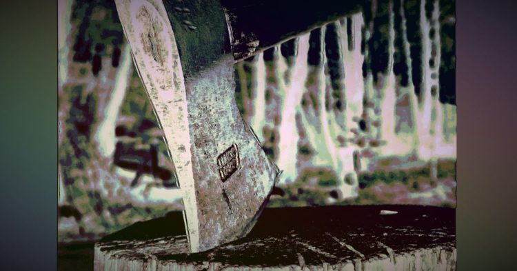 Will the Bitcoin Halving Cause Another BTC Price Hype Cycle?