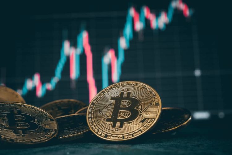 Bitcoin Price Prediction: As Bitwise Says BTC ETFs Open Up 80% Of World’s Wealth To Bitcoin, This Bitcoin Halving Play Surges Past $8.6 Million
