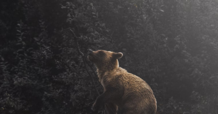 Crypto Bulls Lose $217M Amid Concern About Grayscale Outflows