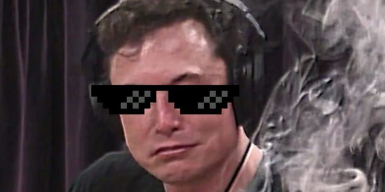 Elon Musk Effect Sees Lucky Trader Turn $10,000 Into $1.3 Million With TROLL Meme Coin