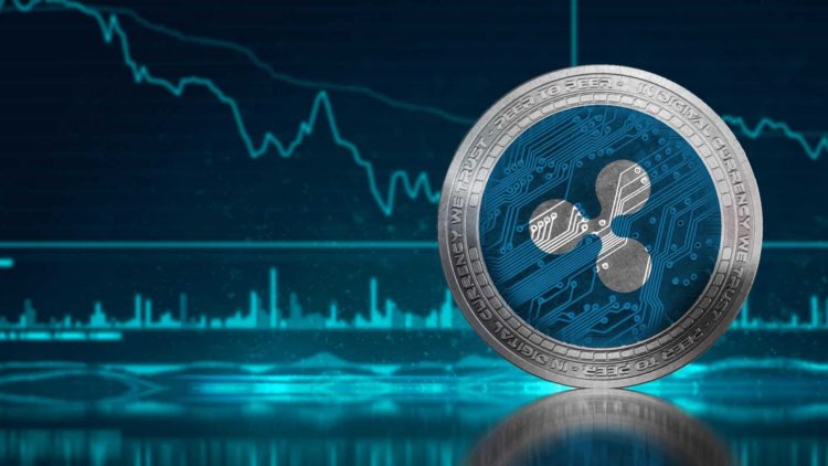 Rapid Surge in XRP Adoption With 26% Increase in Wallets