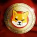 Shiba Inu’s New Bet to Simplify Web3 Transactions