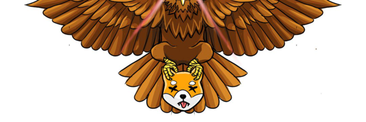 New and Best Meme Coins to Buy January 24 – dogwifhat, Shiba Predator, 4Chan