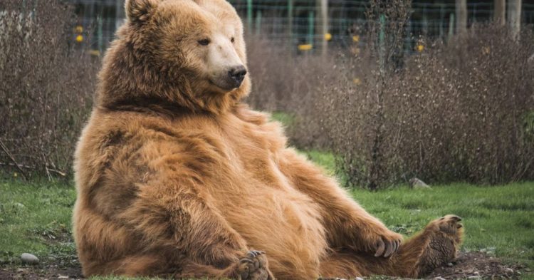 Bitcoin (BTC) Traders Eye Support at $40K as Bitcoin ETF Contrarian Bets Prove Right