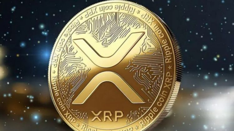 XRP Whales Make Big Moves Amid Market Volatility
