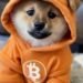 Bitcoin Meme Coin Protocol Runes Sees Dim Traction Amid Falling BTC Prices