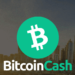 Bitcoin Cash (BCH) Rises Bullishly with Strong On-Chain Data Support