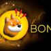 Solana’s BONK Coin Surges Over 35% to $2B Market Milestone