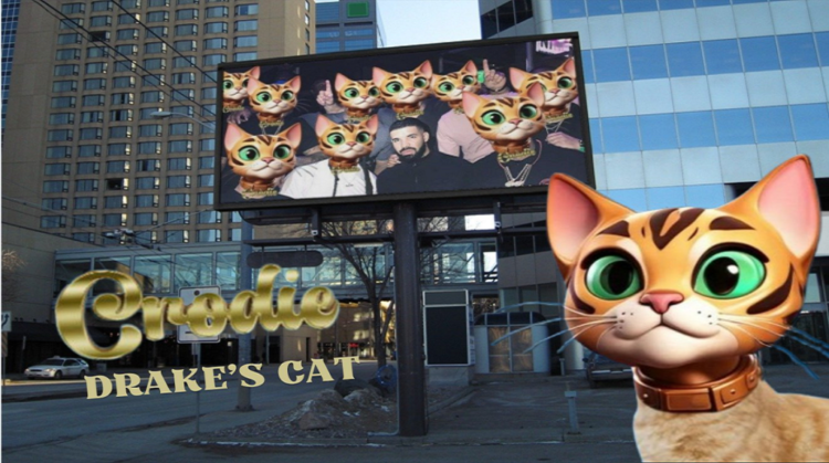 Top Trending Cryptos on Solana Chain Today – Find Me, Crodie, MasterCat