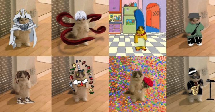 Michi Price Prediction: MICHI Soars 70% As This Latest ”Send SOL” ICO Sprints Past $100K