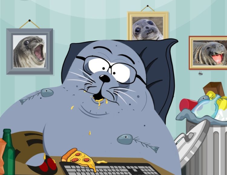 Whales Return To Solana Meme Coins As Sealana Crypto ICO Raises $100,000 in Minutes