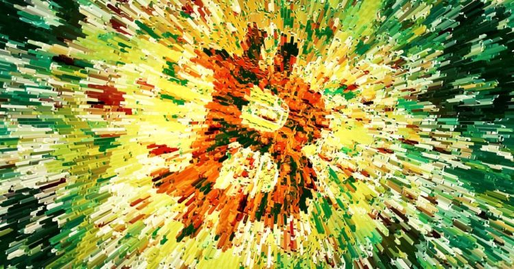 Semler Scientific Announces Bitcoin (BTC) Treasury Strategy