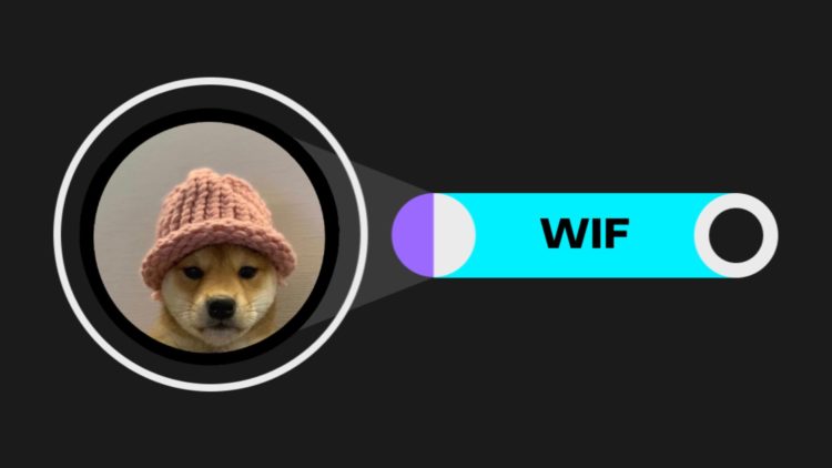 The Dogwifhat Price Soars 24% As New Solana Rival Sealana Surges Past $200K In Presale