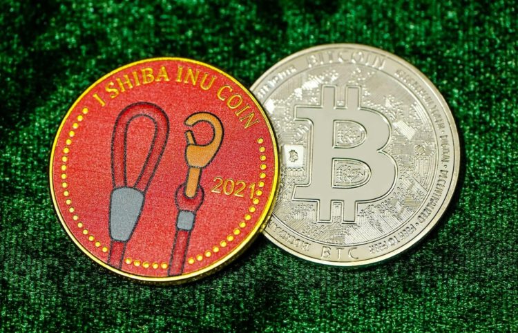 Will Altcoins Overtake Bitcoin Investment Returns in the Future?