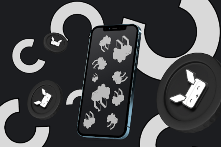 Best Entry Points for XRP, BNB, and Raboo Before Summer Surge