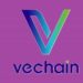 Demystifying VeChainThor: A Blockchain for Real-World Challenges