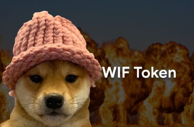 Dogwifhat Faces Sharp Decline, Exits Top 50 Crypto After Crash