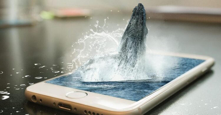 Long Dormant Whale Sends $61M BTC to Coinbase, On-Chain Data Shows