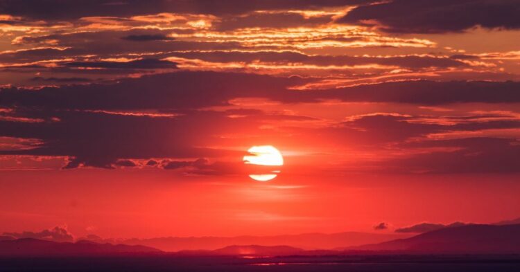 What’s Next for Bitcoin Price (BTC) After Mt. Gox News