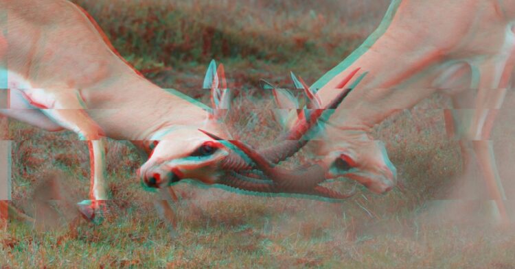 Another Episode in the Layer-2 Teams Drama