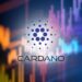 Cardano’s DEX Hits 23M ADA Daily Volume Amidst Price Struggles