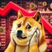 DOGE Breaking Support Could Spark Bearish Action