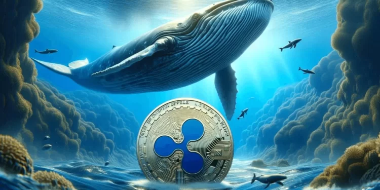XRP Whales Buy $52M in Coins, Market Awaits Rally