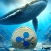 XRP Whales Buy $52M in Coins, Market Awaits Rally