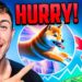 Dogeverse Presale Under 48 Hours Left to Buy – Next 10X Potential Meme Coin Launching Soon