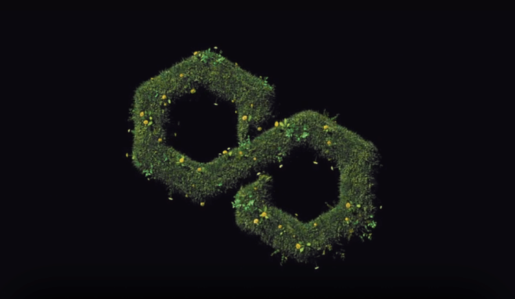 Azuro Launches $20K Grant for Prediction Apps